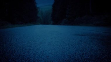 Dağ Ormanı Yolu Yerden Vuruldu Akşam