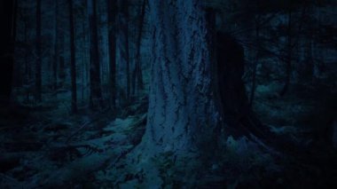 Karanlık Ormanda Ağaç Gövdesine Taşınma