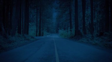 Karanlık çöktüğünde ağaçların arasından yukarı doğru yükseliyor.