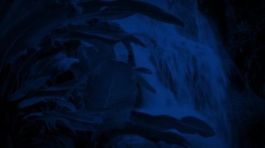 Ormanda Şelale Geceyarısı