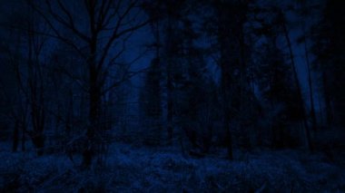 Gecenin karanlığında ürpertici ormanda yürüyorum.