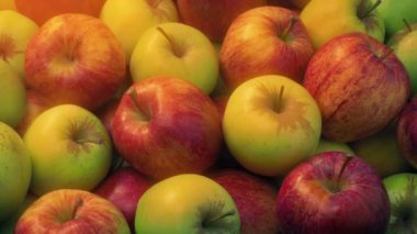 Elmalar Ilık Işıldar