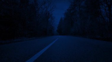 Gece doğarken ağaçların arasından geçen yol.