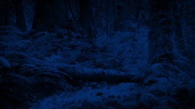 Gecenin karanlığında ormanın derinliklerinden akarcasına