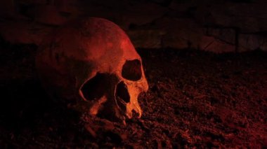 Yerdeki Yaşlı Kafatası Ateş Altında