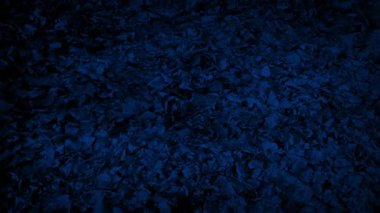 Yaprakları Gece Esen POV Woodland Yolu