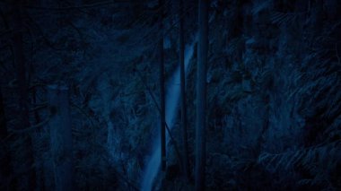 Karanlık Ormanda Kaya Surat Şelalesi