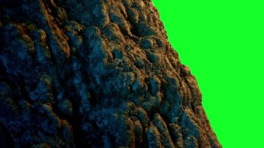 Kaya veya Eski Ağaç Tarafı Elementi Yeşil Ekran