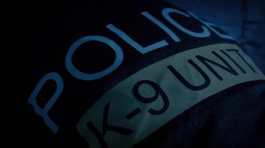 K-9 Polis Köpeği Akşam Araba Işıklı
