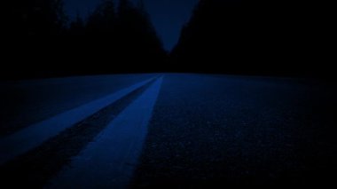 Geceleyin ormanda karşıdan karşıya geçmek