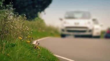 Yazın geçen arabalarla yol kenarı