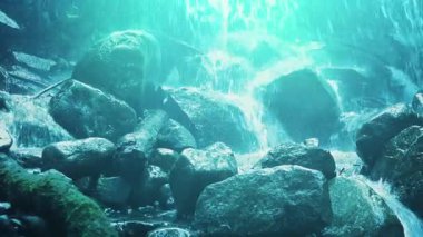 Parlak Taze Şelale Hareketli Çekim