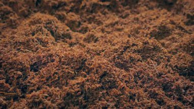 Bahçe Gübre Yığını Taşıma Çekimi