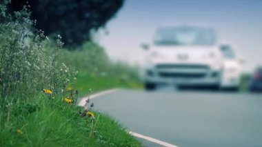 Yoldan geçen arabaların olduğu yol kenarı
