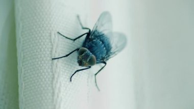 Perdede Uç Kapanış 3 Çekim