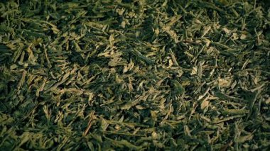 Yeşil Çay Yaprakları Yakın Çekim Dönüşümlü