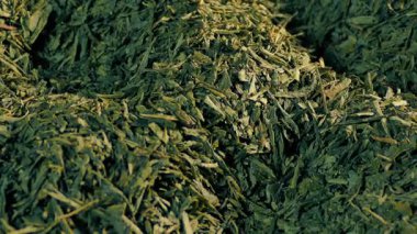 Dönen Yeşil Çay Yığını Yakın Çekim