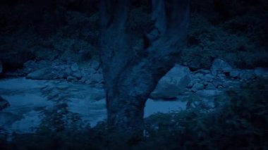 Karanlıktaki Rocky Orman Nehri 'ni geçiyoruz.