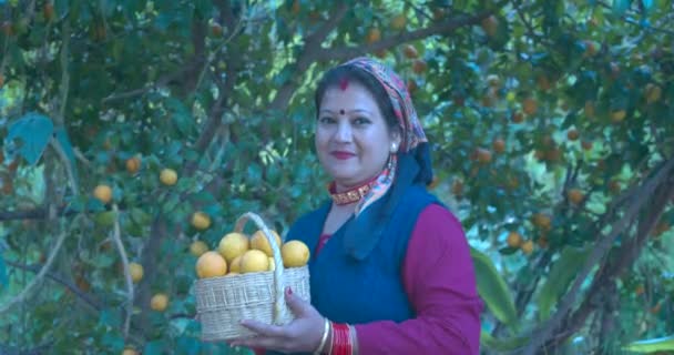 印度女孩采摘橙子 高品质苹果探针4K镜头60 Fps镜头 — 图库视频影像
