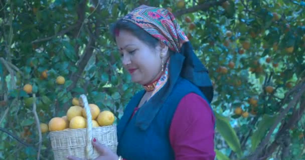 印度女孩采摘橙子 高品质苹果探针4K镜头60 Fps镜头 — 图库视频影像