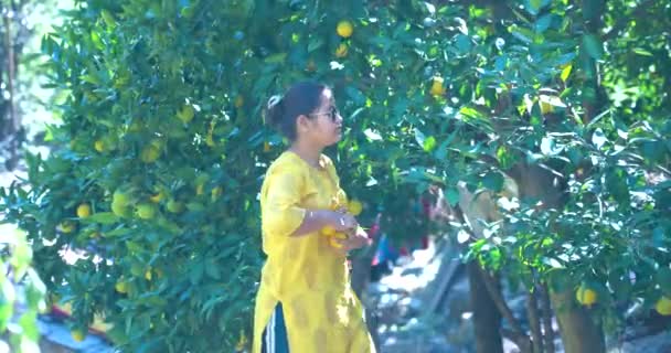 オレンジを摘んだインド人の少女 高品質のリンゴは4K映像を誇ります60 Fpsの映像 — ストック動画