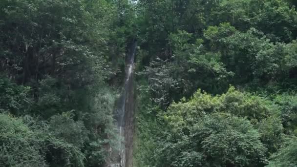 Picturesque Waterfall Surrounded Different Types Trees Plants Situated Himalayan Region — Stockvideo
