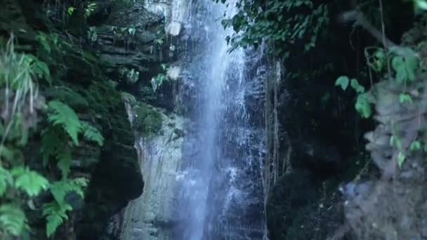Mesmerizing Waterfall One Many Waterfalls Situated Mountains Himalayan Region India — Video Stock