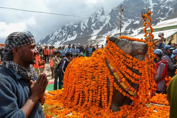 Rudarprayag Uttarakhand India Mayo 2014 Devoto Con Nandi Becerro Toro — Foto de Stock