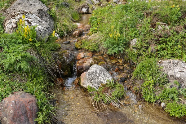 Himalayas Vattendrag Viktig Dricksvattenkälla Cirka Procent Befolkningen Landsbygden Himalaya Använder — Stockfoto