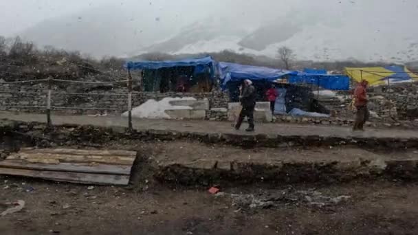 Dehradun Uttarakhand India Maggio 2023 Gli Indiani Divertono Sotto Pioggia — Video Stock