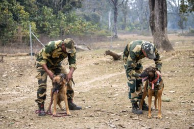 Dehradun, Uttarakhand Hindistan-17 Ağustos 2023 - Hindistan 'da köpeklerin orduya ilham veren eğitim yolculuğu. 