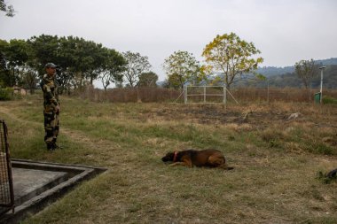 Dehradun, Uttarakhand Hindistan-17 Ağustos 2023, hassas ve disiplin yolunda ilerleyen bir asker, Hindistan 'da köpeklere rehberlik eder. 