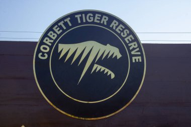 Corbett Tiger Reserve 'in vahşi güzelliği içinde seyahat. Yüksek kaliteli görüntü.