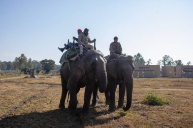 Dehradun,Uttarakhand India-August 17 2023-landscapes of Uttarakhand on a beautiful journey with elephants.High quality image  clipart