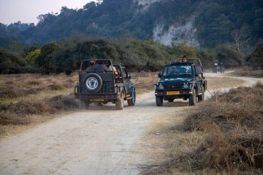 Dehradun, Uttarakhand Hindistan-17 Ağustos 2023 Uttarakhand 'ın büyüleyici güzelliğinde seyahat..