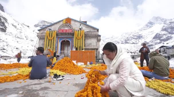 Dehradun Uttarakhand India May 2023 Egy Gyönyörű Virágfüzér Felajánlás Kedarnath — Stock videók
