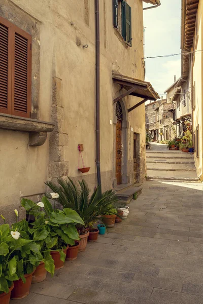 Calle Estrecha Marta Town Toscana Italia — Foto de Stock