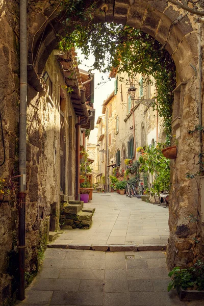 Rue Étroite Dans Ville Marta Toscane Italie — Photo
