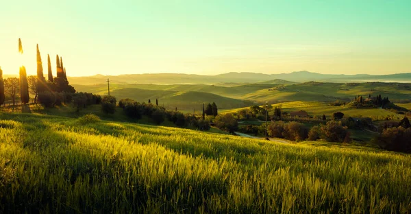 Panorama Del Amanecer Val Orcia Toscana Italia — Foto de Stock