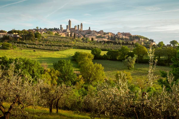 Panorama Ciudad San Gimignano Toscana Italia — Foto de Stock