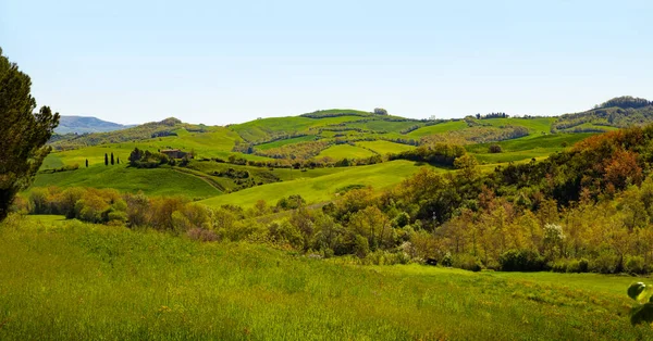 Panorama Zielonych Wzgórz Toskanii Włoszech — Zdjęcie stockowe