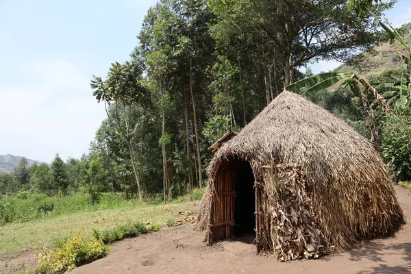 Gubuk Bulat Kecil Hutan Dengan Atap Jerami Terbuat Dari Tongkat — Stok Foto