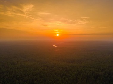 Ormanın üzerinde ufukta turuncu bir gün batımı görünüyor.