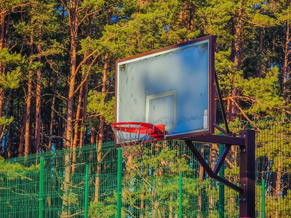 Общественная Открытая Баскетбольная Доска Ободом Сеткой Природе Окружении Деревьев — стоковое фото