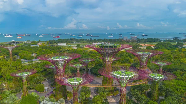 シンガポールの湾による庭園の風景の空中ビュー 人工樹木のある植物園 — ストック写真