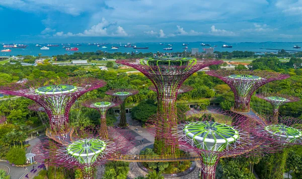 Vista Aérea Del Paisaje Gardens Bay Singapur Jardín Botánico Con — Foto de Stock