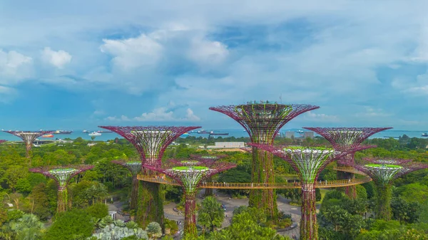 Luftaufnahme Der Landschaft Der Gardens Bay Singapur Botanischer Garten Mit — Stockfoto