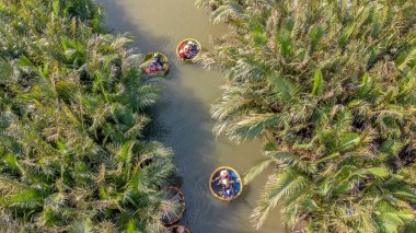 Vietnam 'ın Hoi An kasabasındaki Cam Thanh köyündeki palmiye ormanlarında hindistan cevizi sepeti turu. Thu Bon nehrinde gezintiye çıkan turistler