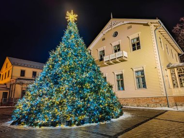 Palanga, Litvanya Noel ağacı geceleri şehir merkezindeki Kurhaus binasının yanında Basanavicius yaya yolunun hemen yanında yer alır.