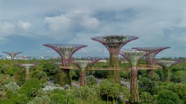 Singapur Körfezi yakınlarındaki Gardens 'ın havadan manzarası. Yapay ağaçlı botanik bahçesi